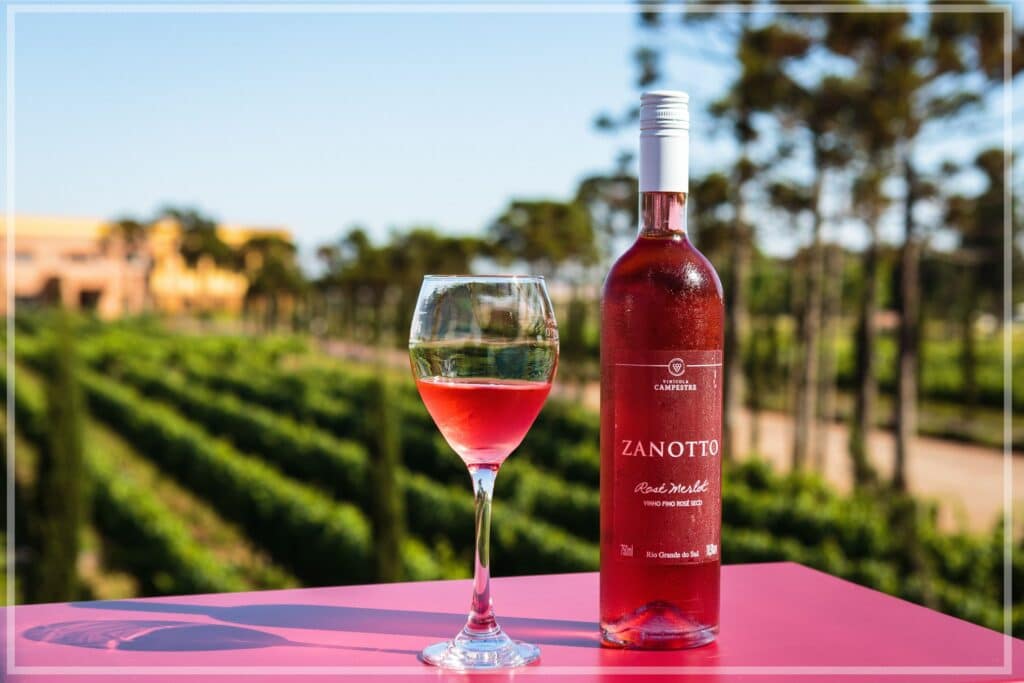 vinho rose