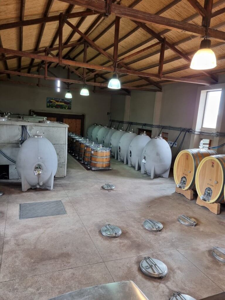 Dicas de Mendoza Riccitelli Wines adega 768x1024 - Dicas de Mendoza
